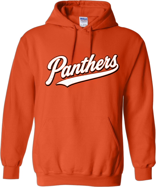 NL Back to School_ Panthers Varsity Script Hoodie