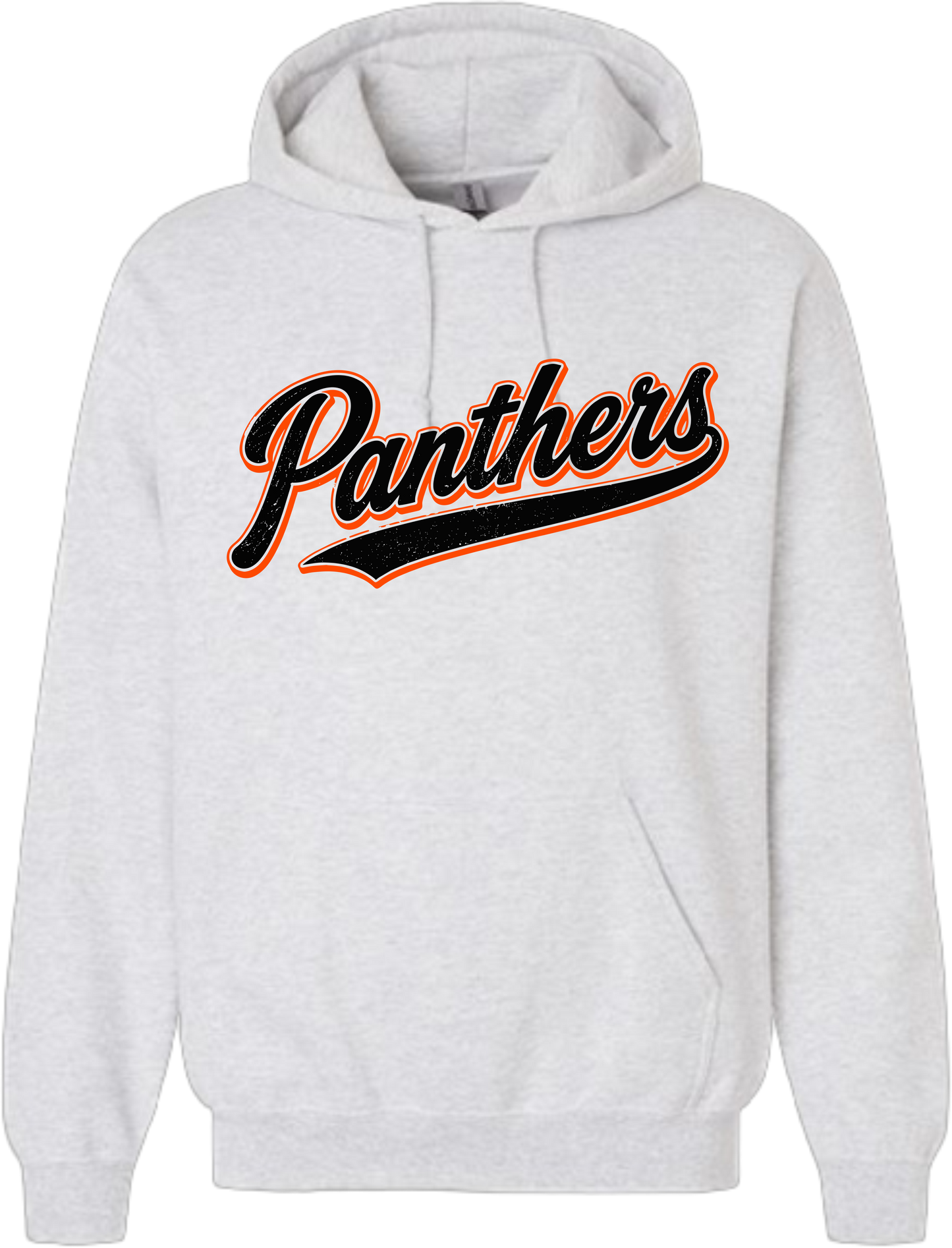 NL Back to School_ Panthers Varsity Script Hoodie