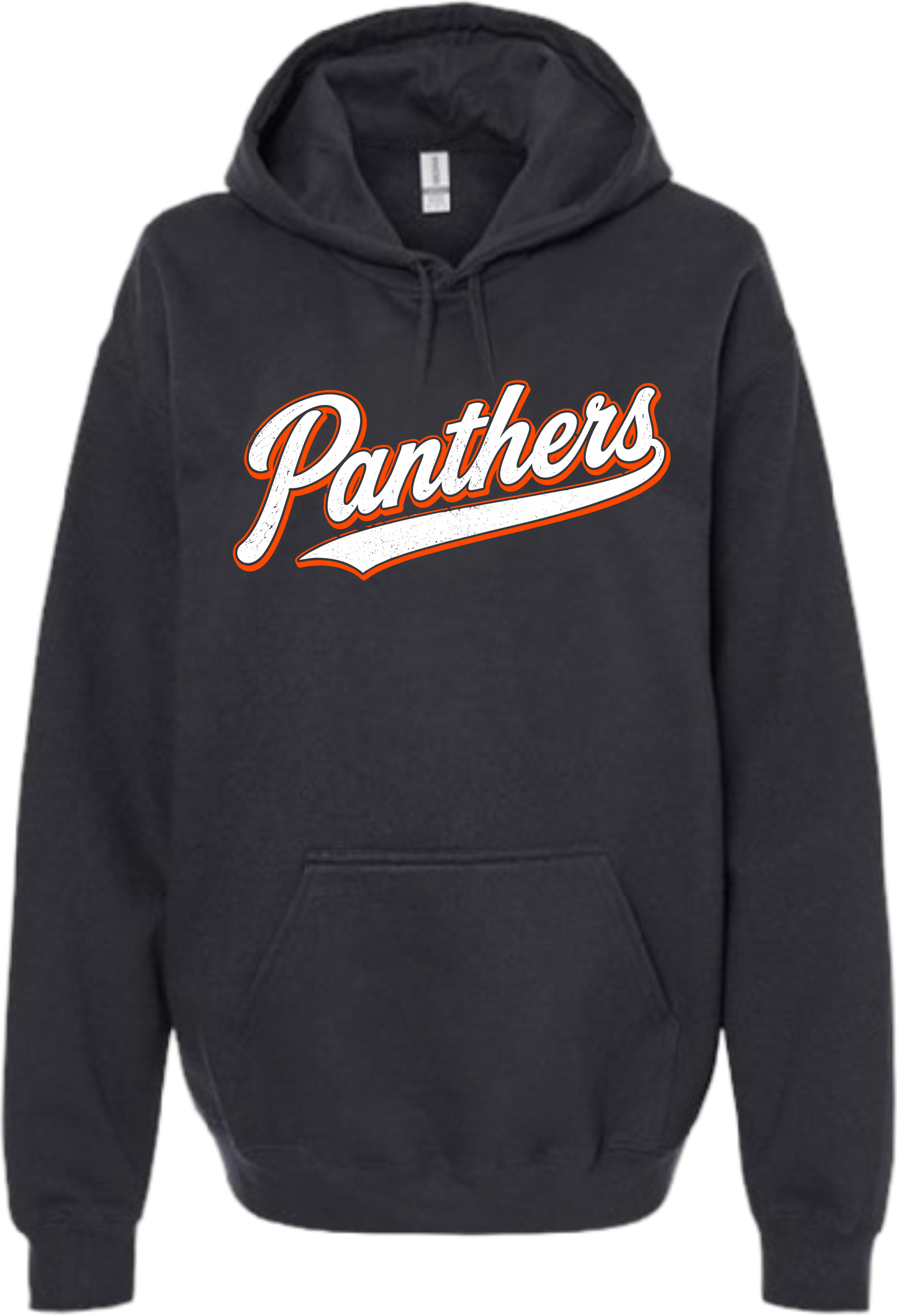 NL Back to School_ Panthers Varsity Script Hoodie