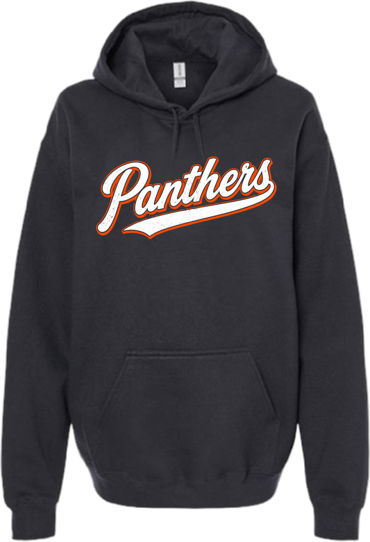 NL Back to School_ Panthers Varsity Script Hoodie