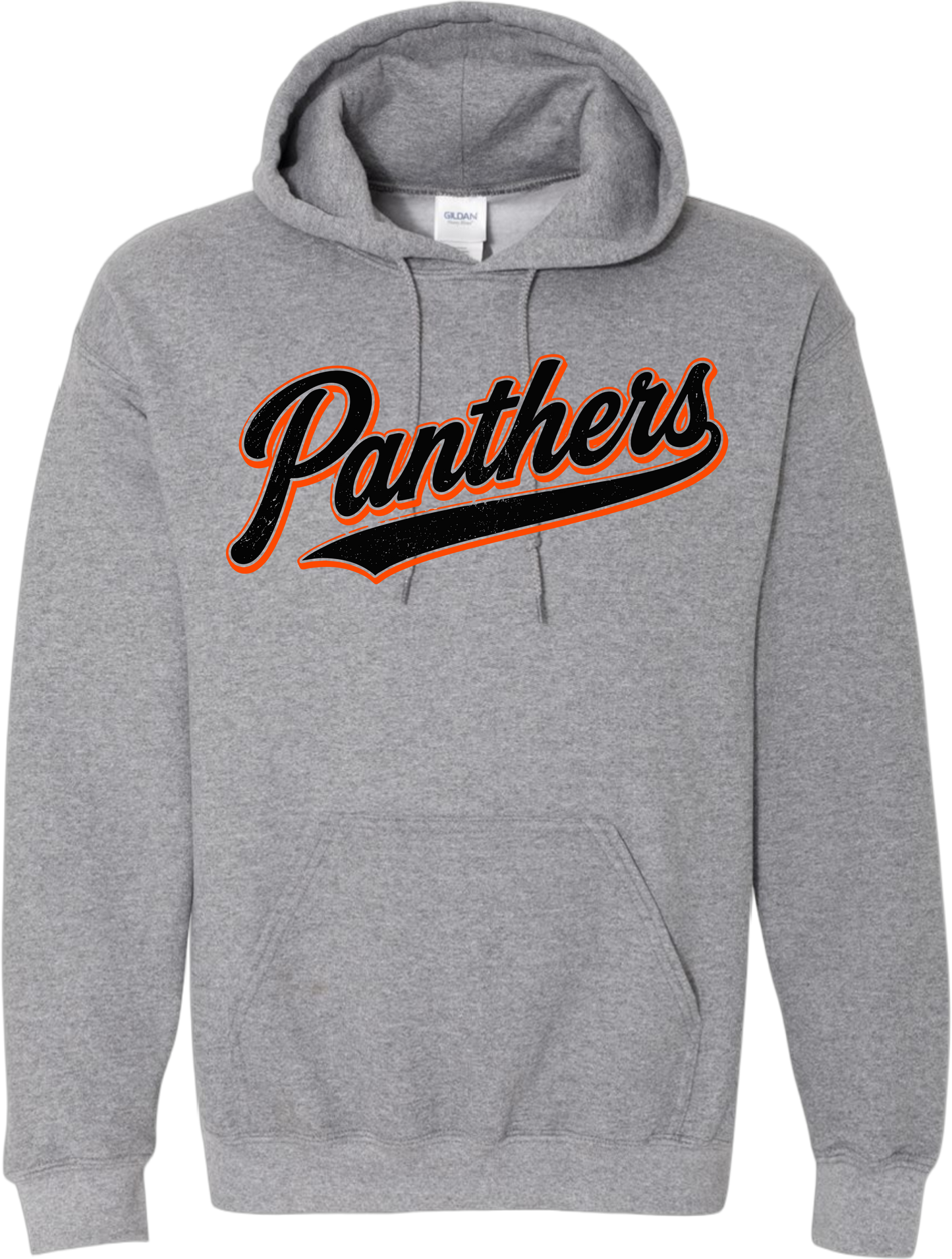 NL Back to School_ Panthers Varsity Script Hoodie