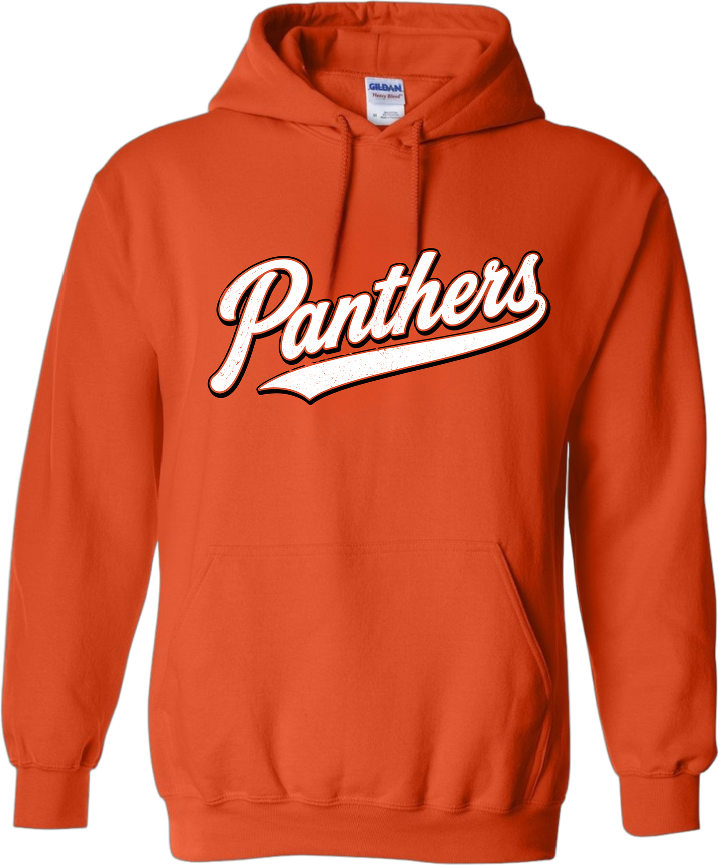 NL Back to School_ Panthers Varsity Script Hoodie
