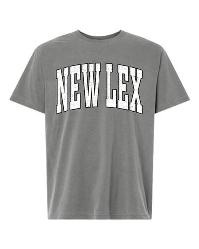 Unisex Heavyweight Garment-Dyed Tee- Washed Grey