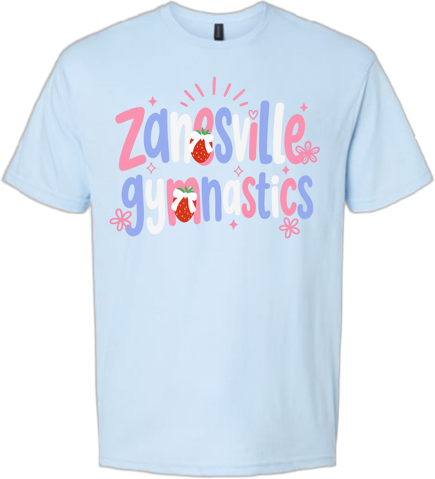 ZGA_Berry Gildan T