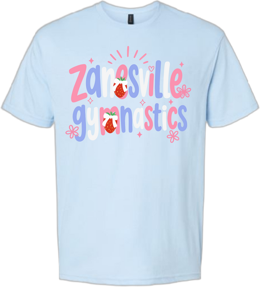ZGA_Berry Gildan T